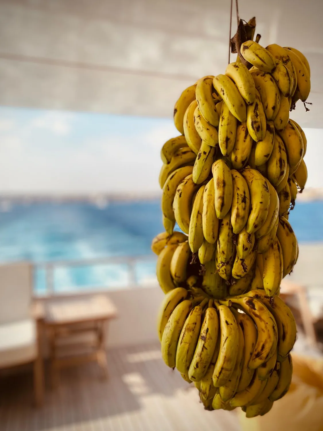 Fresh fruit
